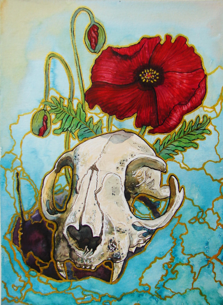 cat skull with poppies